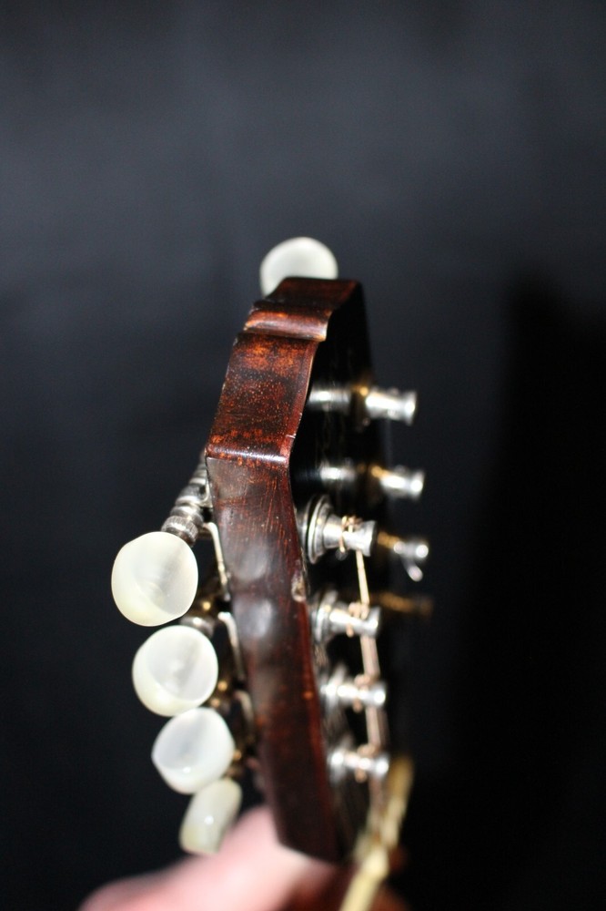 Wayne Henderson John Cephas Mandolin