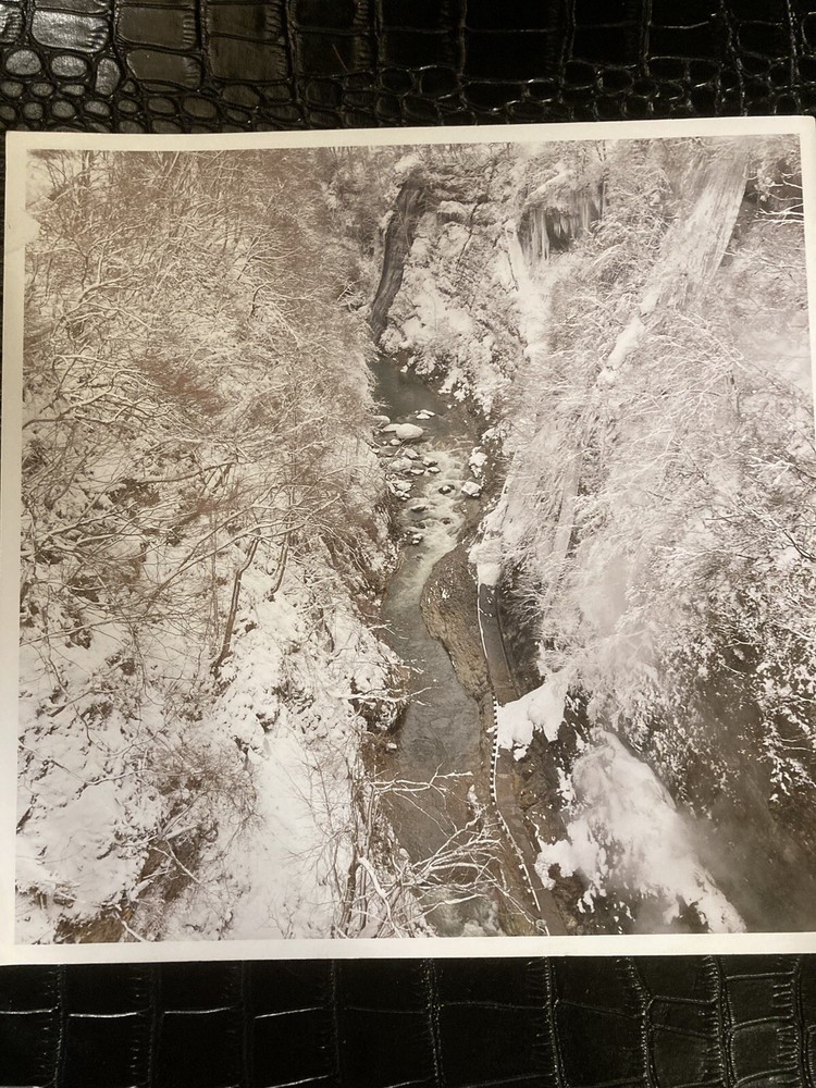 Minase Watch Catalog