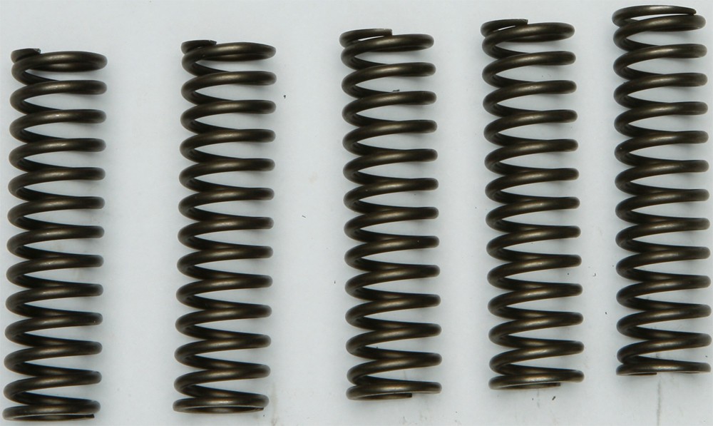 EBC Clutch Spring Set - Clutch Springs - CSK128