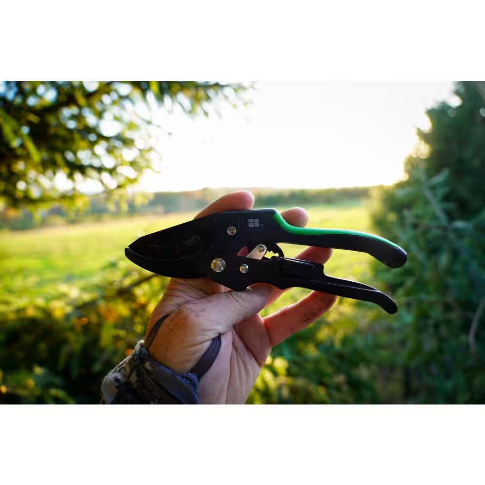 Ratchet Pruner