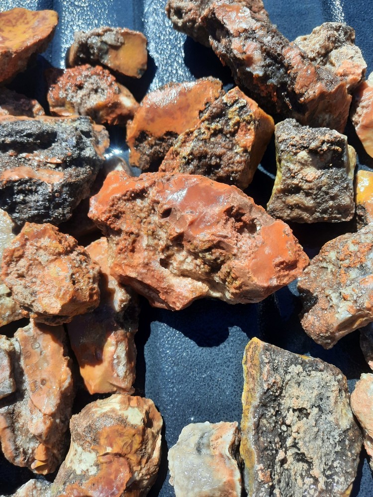 Red/Yellow Jasper Agate Chert Nodule Botryoidal Rough Lot!