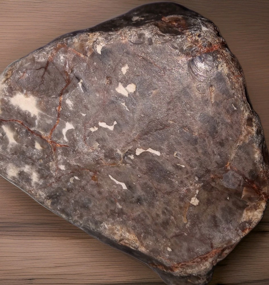 Petrified Agatized Fossilized Wood Rough 2 lbs+