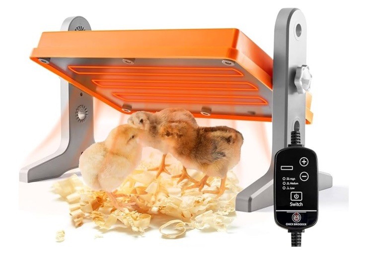 Chick Brooder (12"X8") Brooder Heater for Chicks Ducks and Birds Incubation Heat