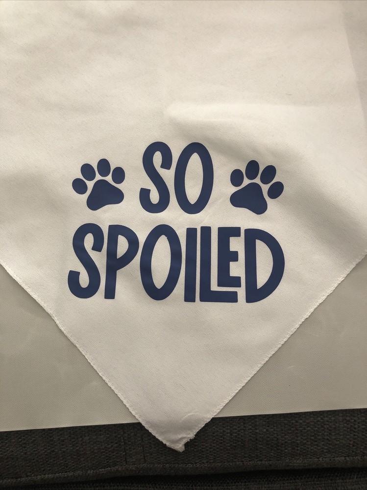 dog bandana tie on