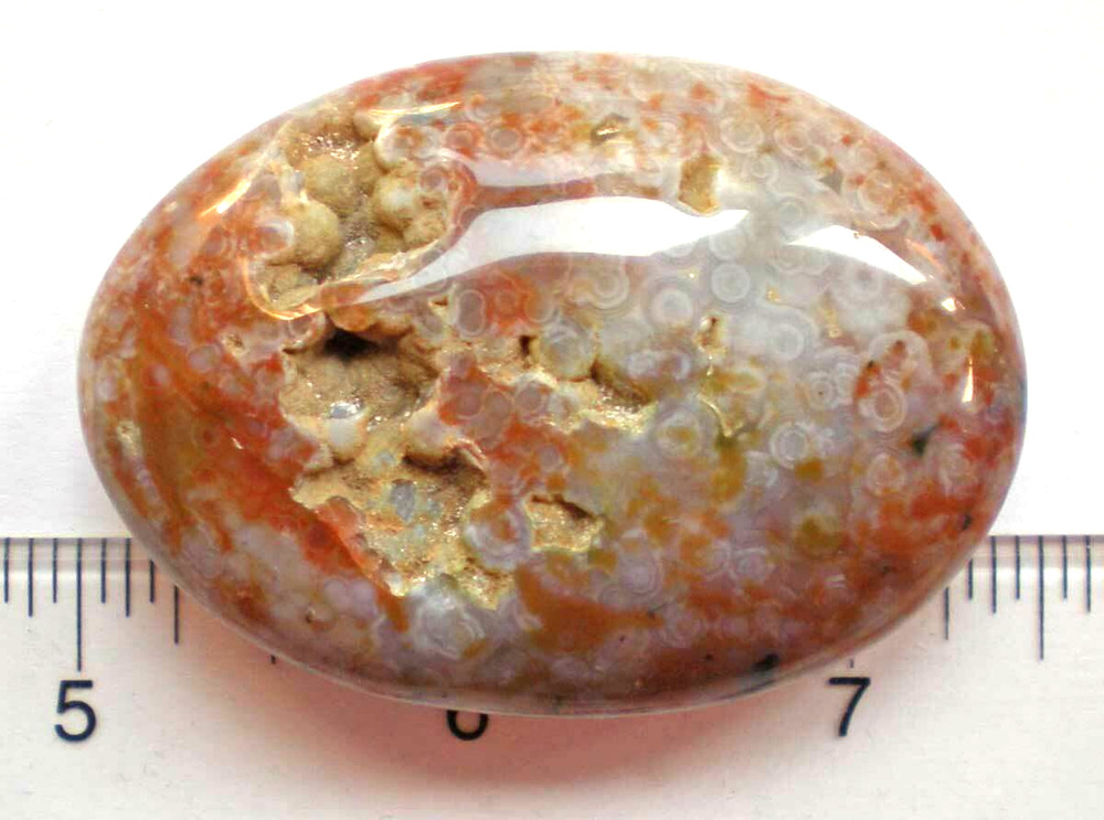 Ocean Jasper Palm Stone sc687n