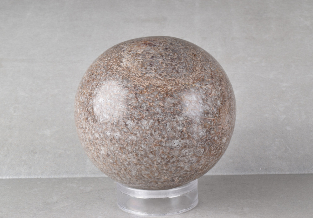 Large Dinosaur Bone Sphere from Morocco  7.7 cm # 21479