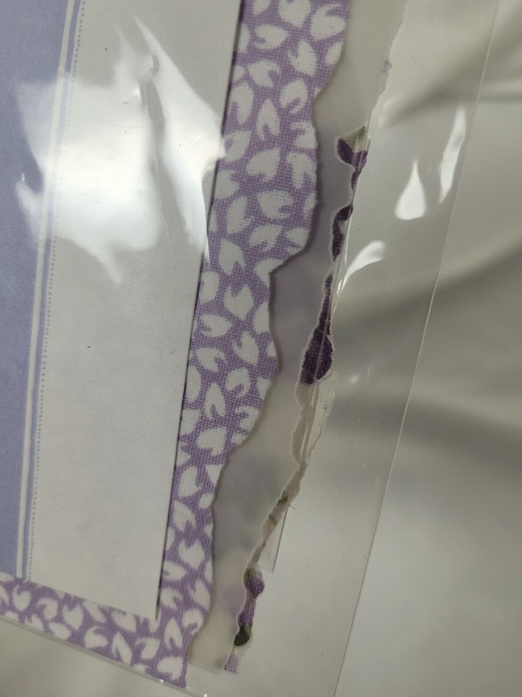 Scrapbook Paper 5 Pkg Assorted Laura Ashley Hanko Daisy D and Generic