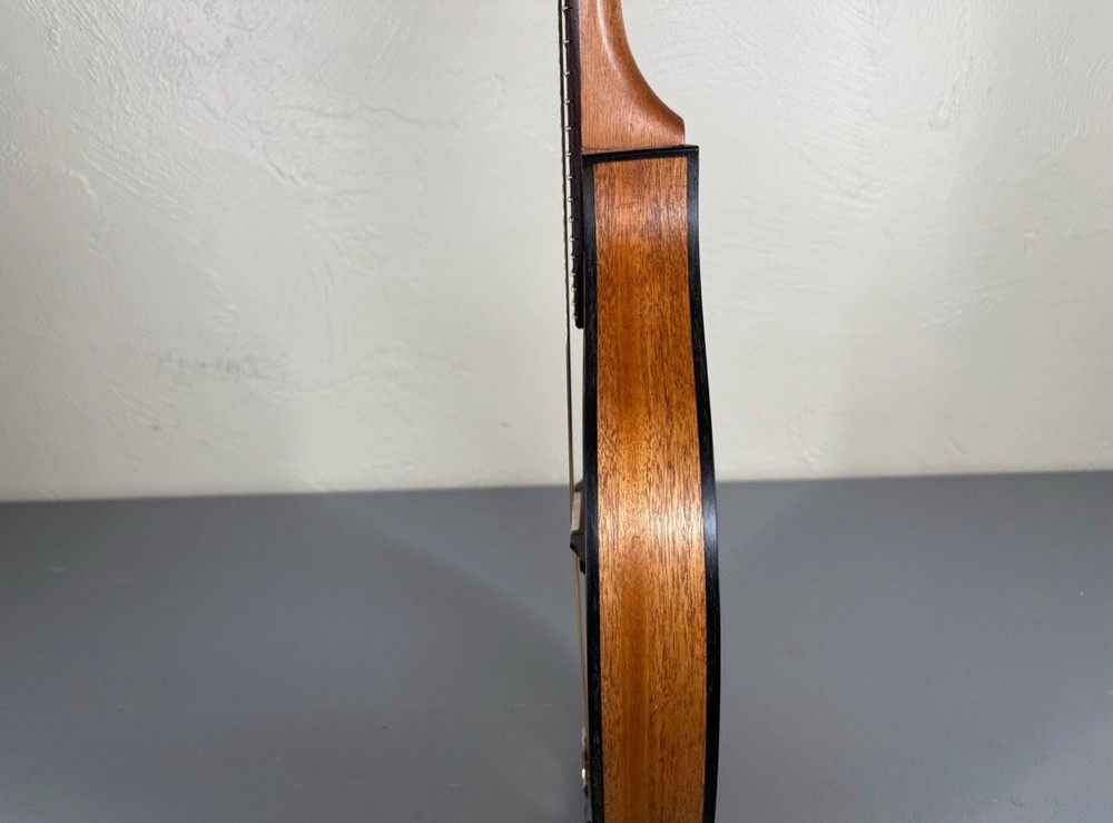 Custom-Built Flat-Back Mandolin with Case