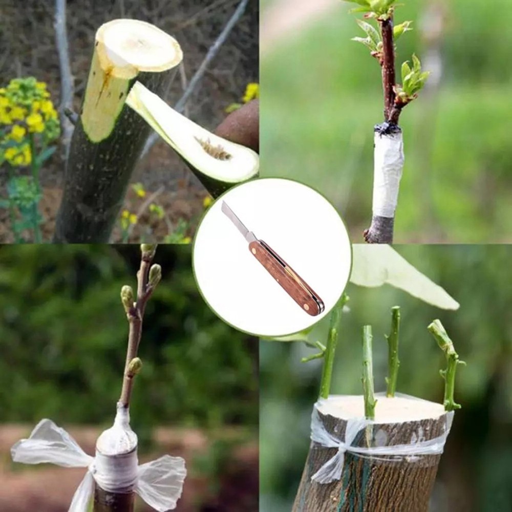 Gardening Tool Grafting Tool Wood Handle Budding Grafting Knife