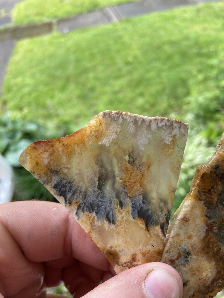 Graveyard Plume Agate 2 Pieces 70 Grams