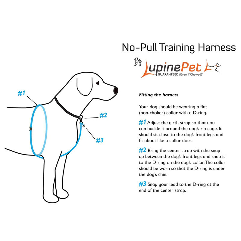 LupinePet NO-PULL TRAINING HARNESS - 3/4" MEDIUM, Blue Diamond reflective