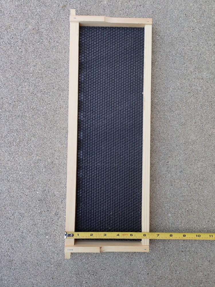 40pack Wooden Medium Beehive Frame and black Foundation Double Wax BeeKeeping￼