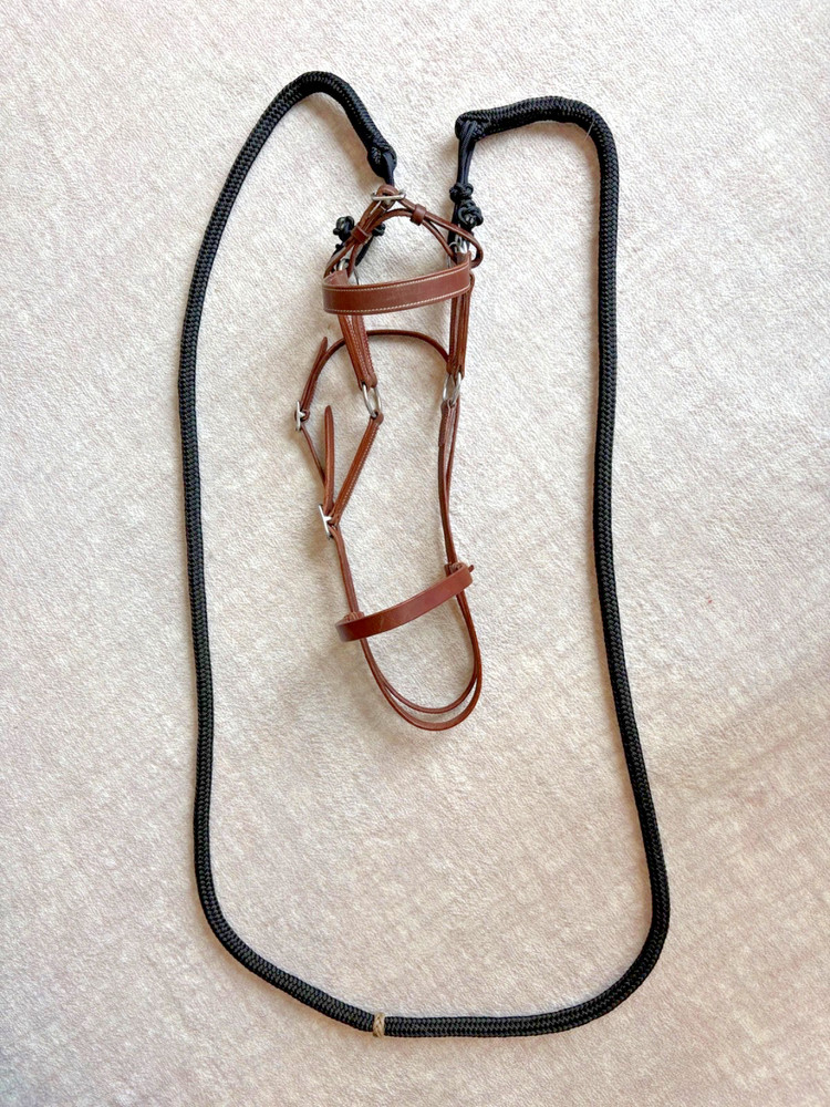 8.5' Poly Loop Rein, Braided Knots and Center Braid Ring, with Leather Sidepull