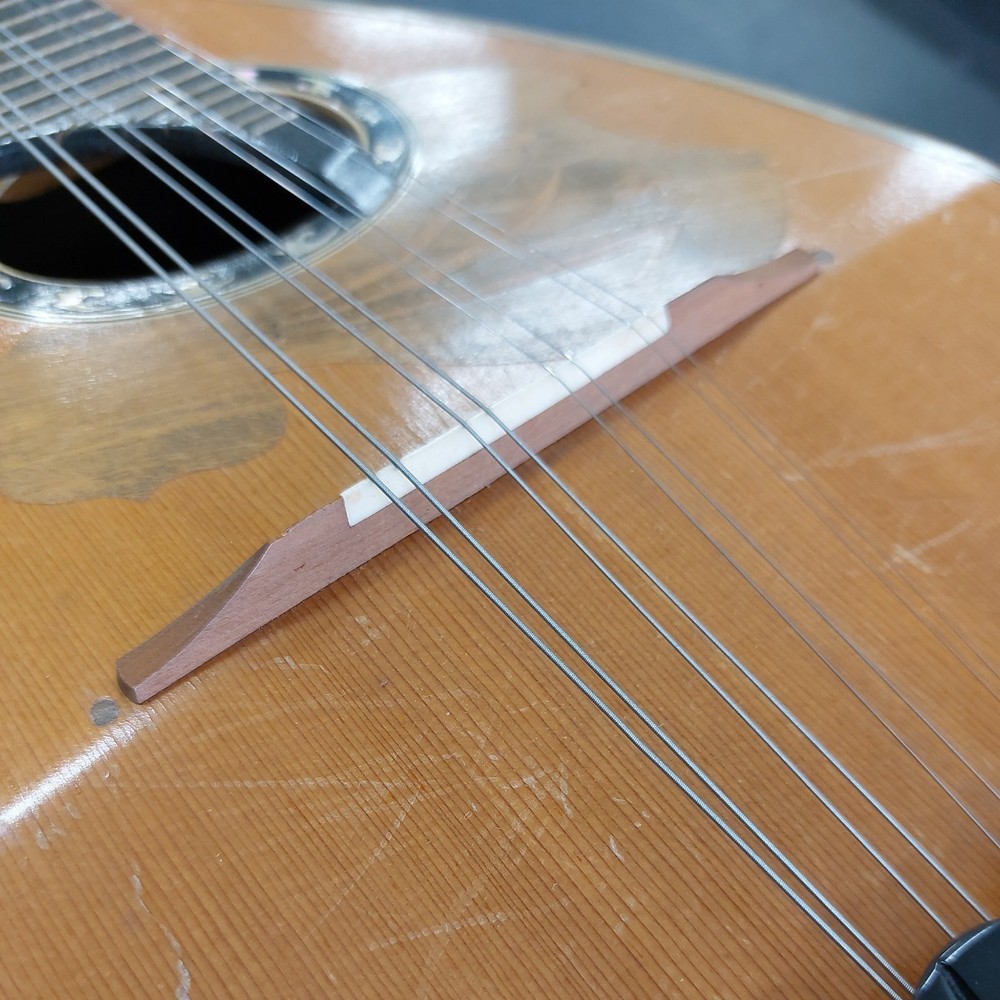 SUZUKI 1964 Mandolin