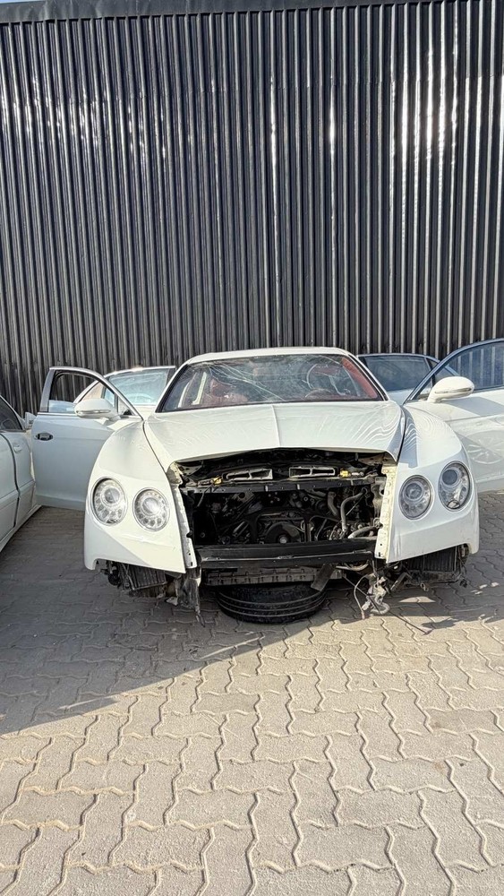 Bentley Frame For Interior Light 3W2947125B