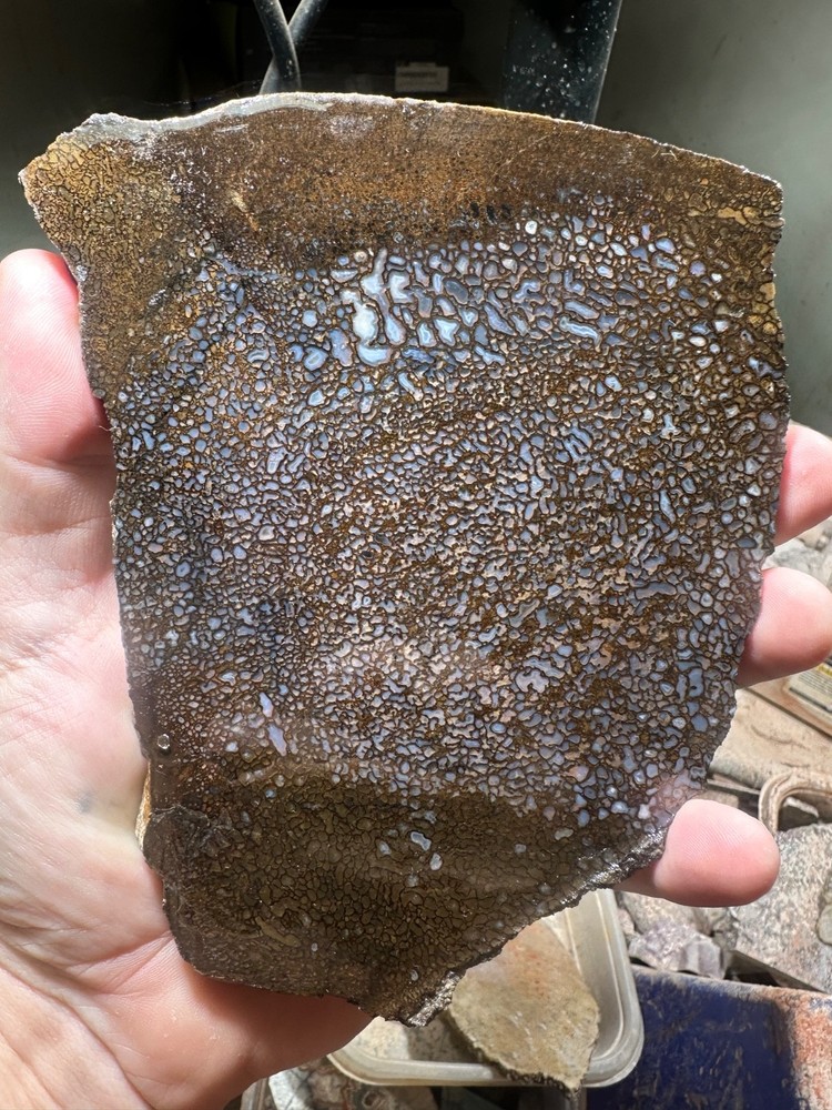 Dinosaur bone rough **hxtled slab.