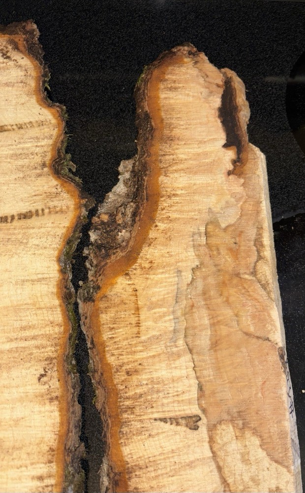 Curly Maple Slabs - 2 Pc Craft Bundle #2085