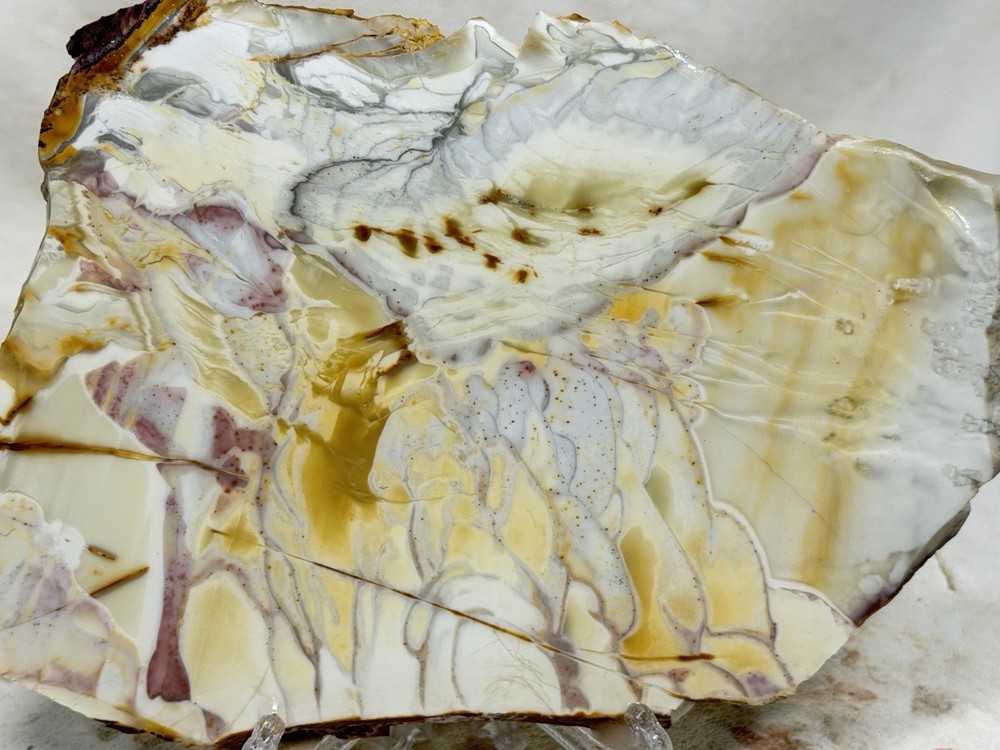 Large Willow Creek Jasper Slab, Lot#69