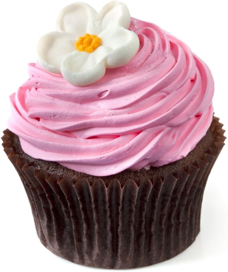 Babycakes 4 Mini Cupcake Maker Nonstick Baking Plates