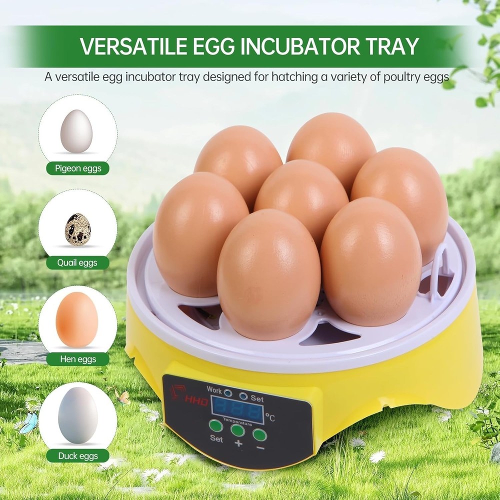Quail Eggs with Automatic Turner and Humidity Control Small Quail Brooder