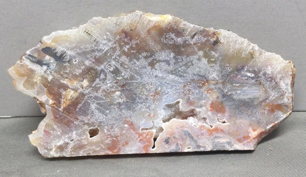 Opalized Agate rough slab for cabbing. Mesmerizing! #OA-002
