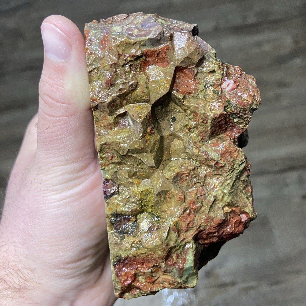 Mushroom Spiderweb Jasper Vibrant Lapidary Rough 2 Pounds!
