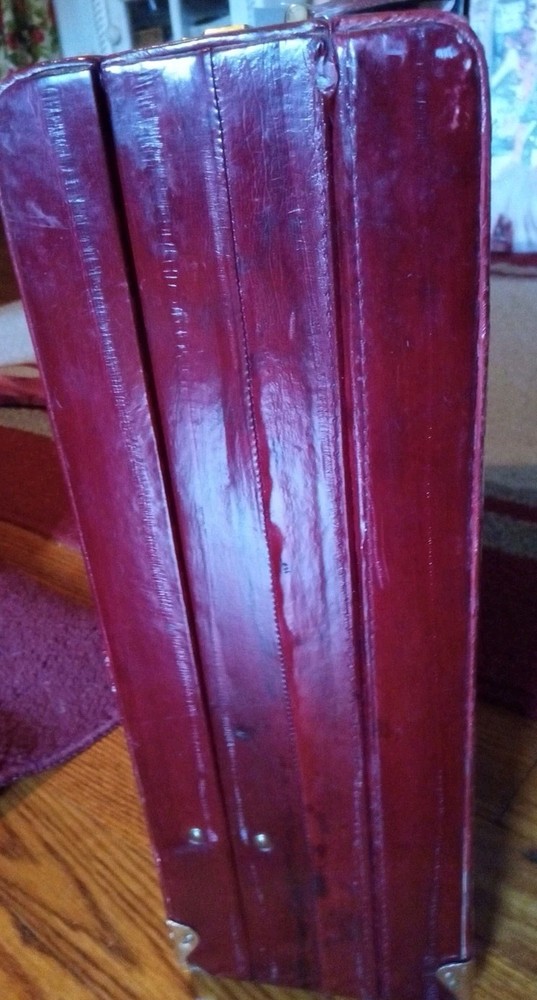 Vintage Amiet Eel skin Briefcase.
