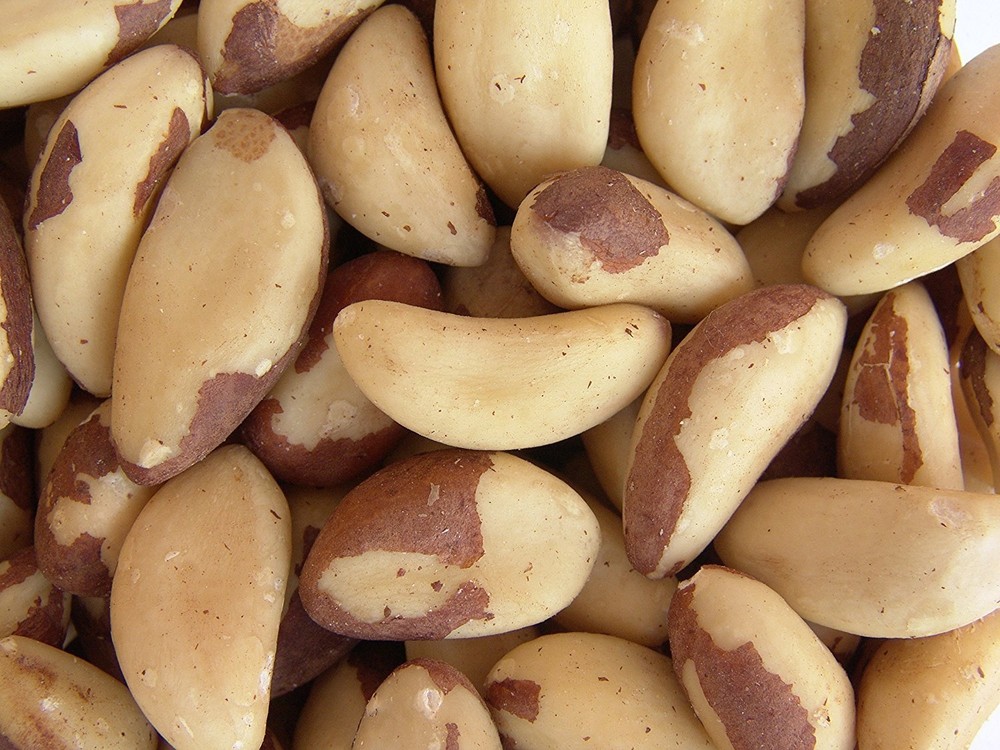 Gourmet Brazil Nuts by Its Delish (Two pound)