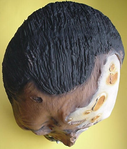 Zombie Monster Halloween Mask