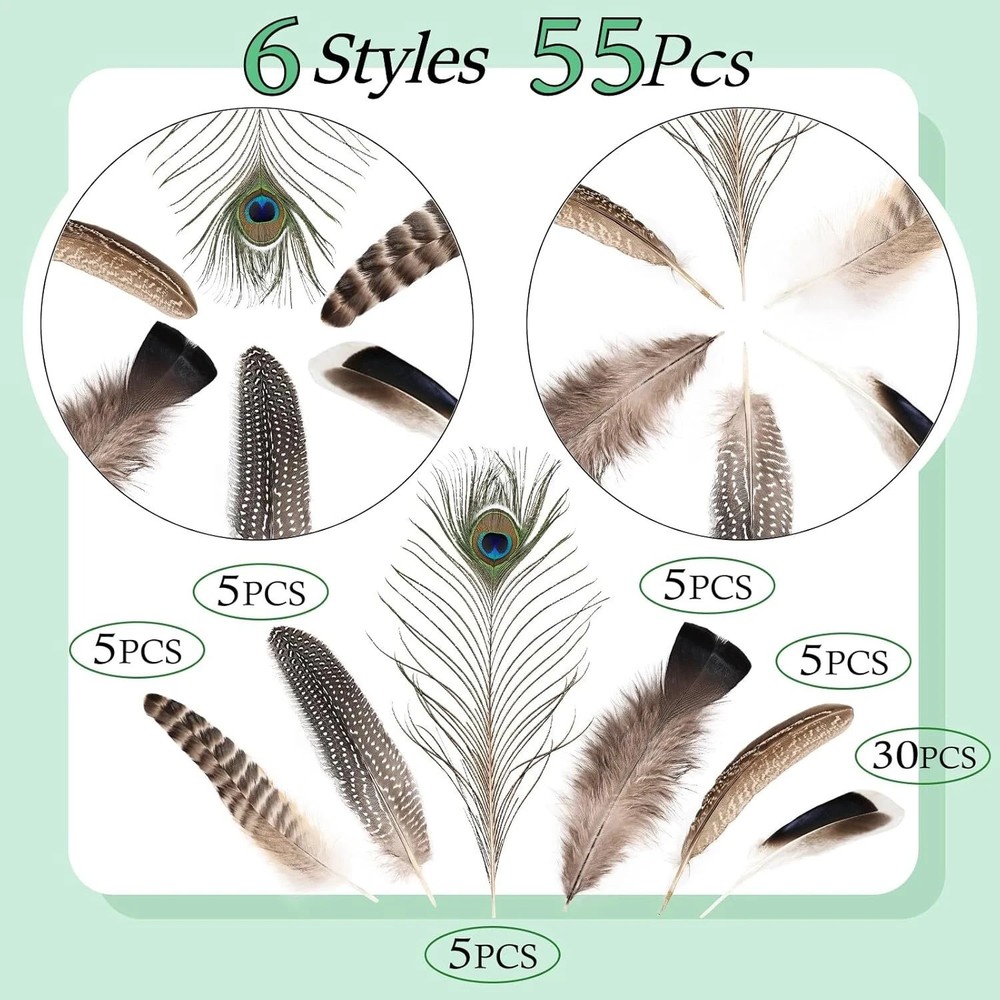 Natural Feathers Bulk - 55PCS - 6 Styles Assorted Natural Feathers, Peacock Feat