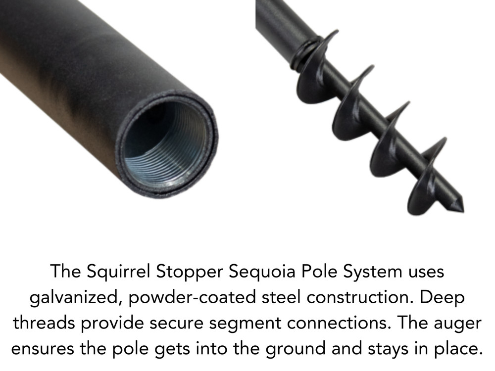 Squirrel Stopper Sequoia Squirrel Proof Bird Feeder Pole System with 4 Hanging