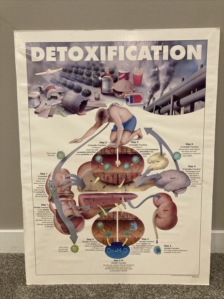 Advanced Nutrition Posters Vintage