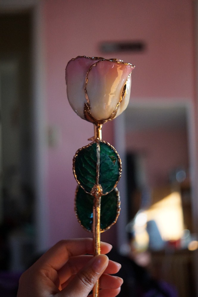 24k rose co