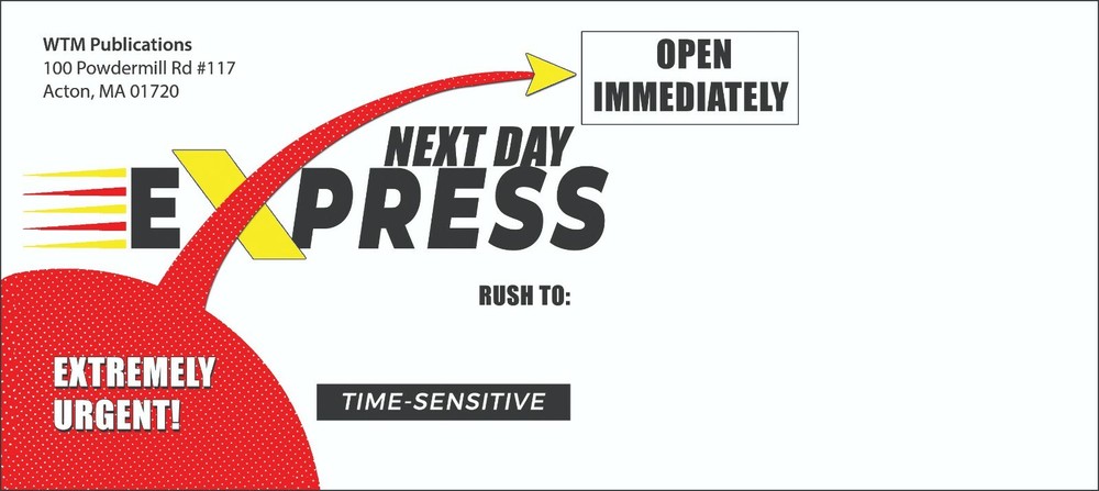 Next Day Express #10 Peel-n-Seal Security Envelopes