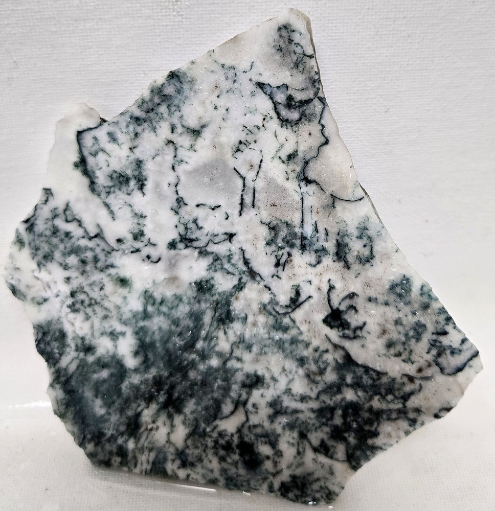 Tea Tree Jasper Agate 156gm Gem Lapidary Cabbing Slab