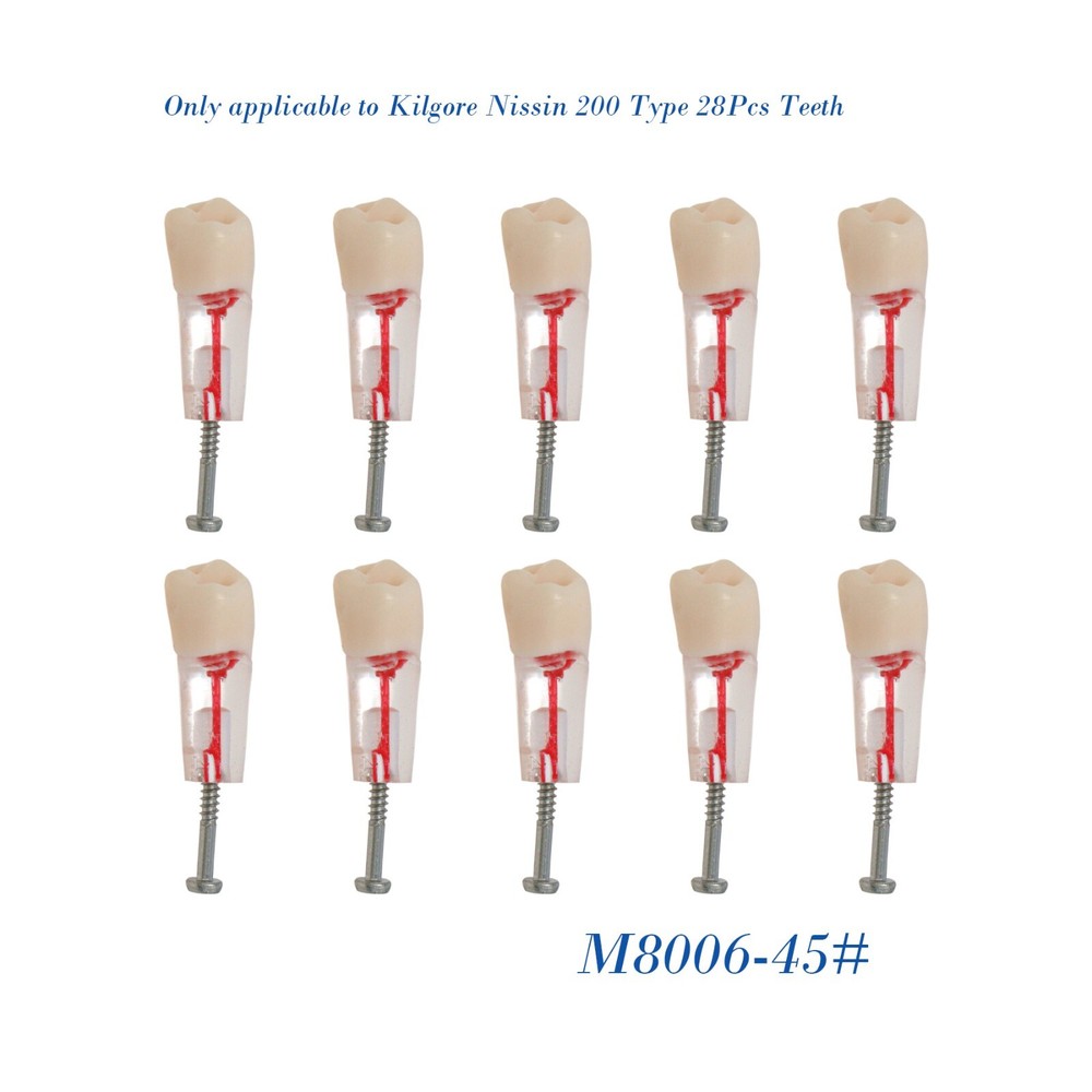 Dental 28Pcs Teeth Kilgore Nissin 200,Caries Root Canal Practice Replace Teeth