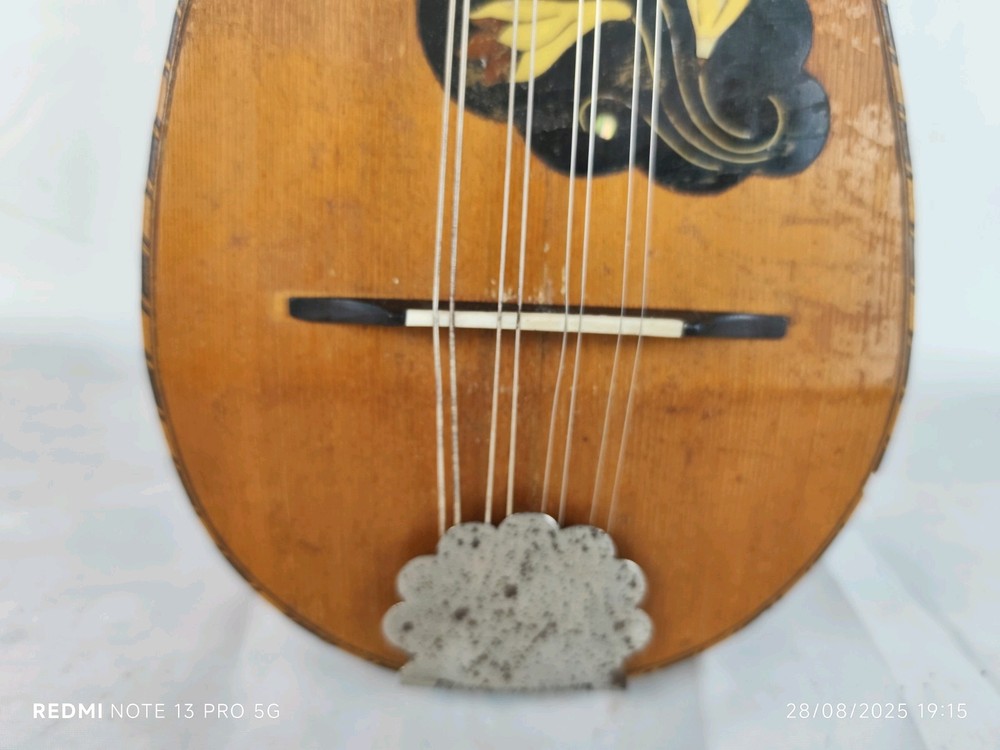 Mandolin Piccolo Giuseppe Cesolari 1910 Rome 曼陀林 만돌린マンドリン