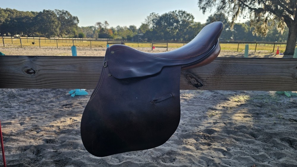 Collegiate Saddle 6524