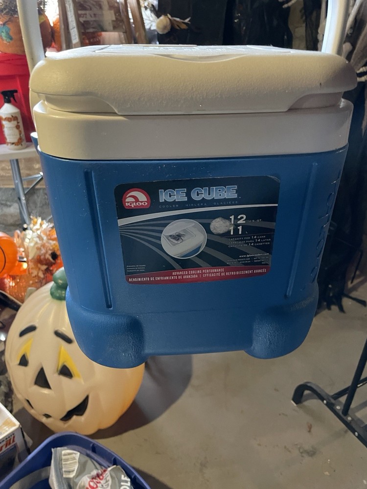 Igloo Ice Cube Cooler