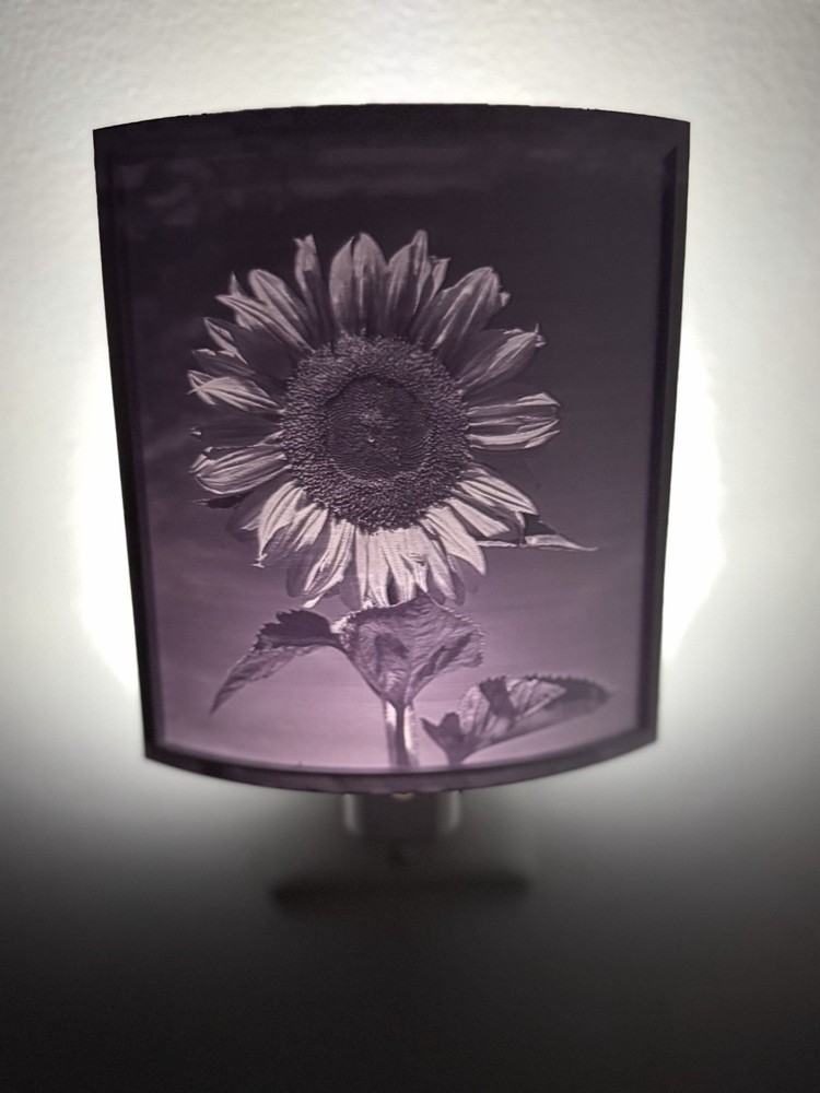 Lithophane 3D Printed LED Night Light- Custom and Personalized - F/S