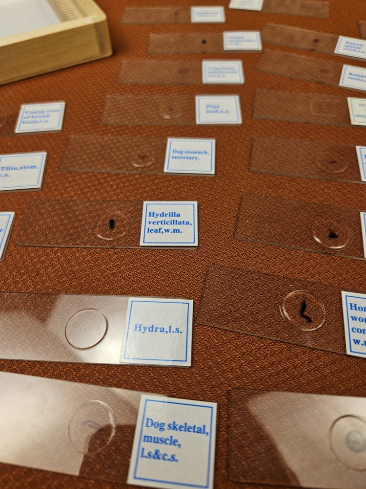 Celestron prepared microscope 25 slide set