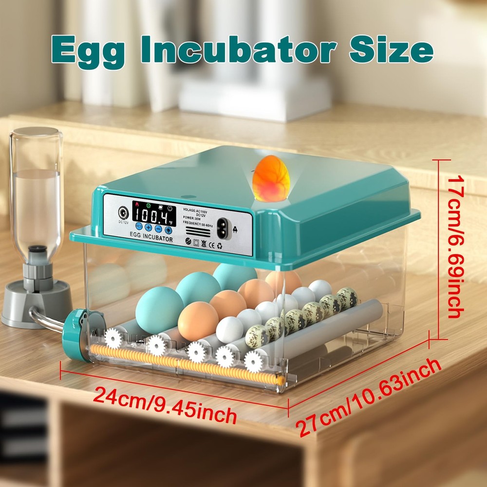 CoInceptus 16 Eggs Incubators for Hatching Eggs, Egg Incubator with...