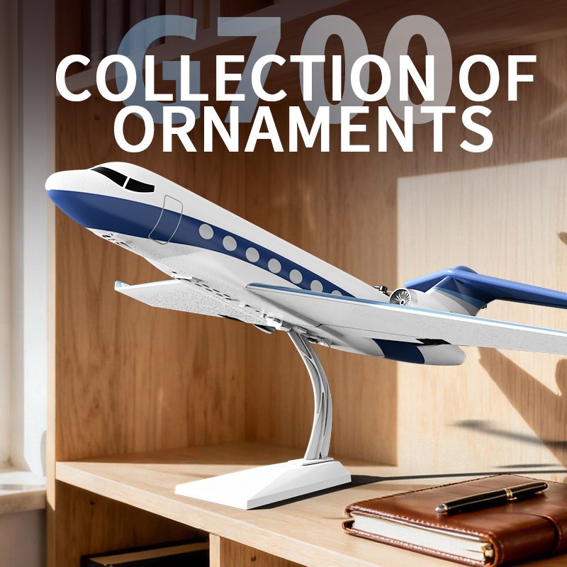 US G700 RC Gulfstream Private Jet Glider Z67 EPP Remote Control Aerobatic Model