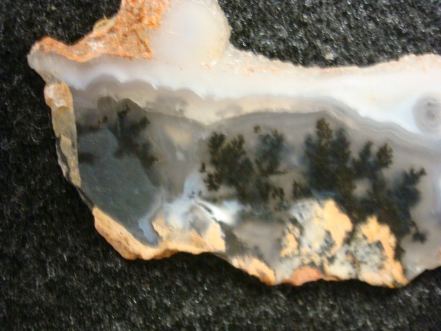 plume agate slab wyoming
