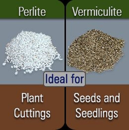 PERLITE & FINE GRADE VERMICULITE SEED STARTING ALL QUANTITIES bagged separate