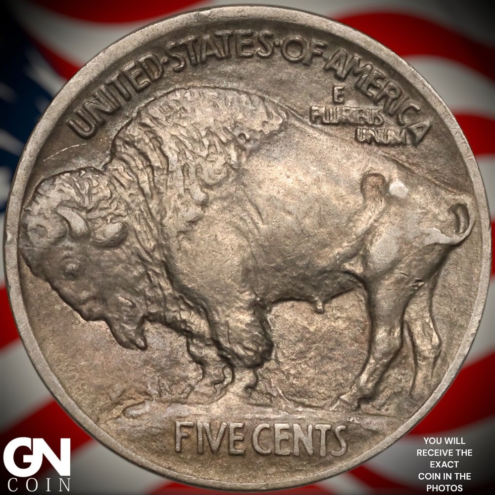 1913 P TYPE 1 Buffalo Nickel A8070