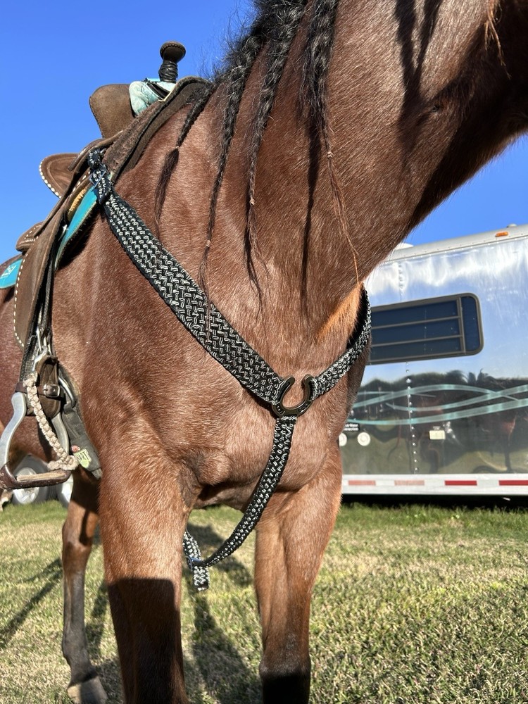 Mule Tape Breast Collar, Custom Made