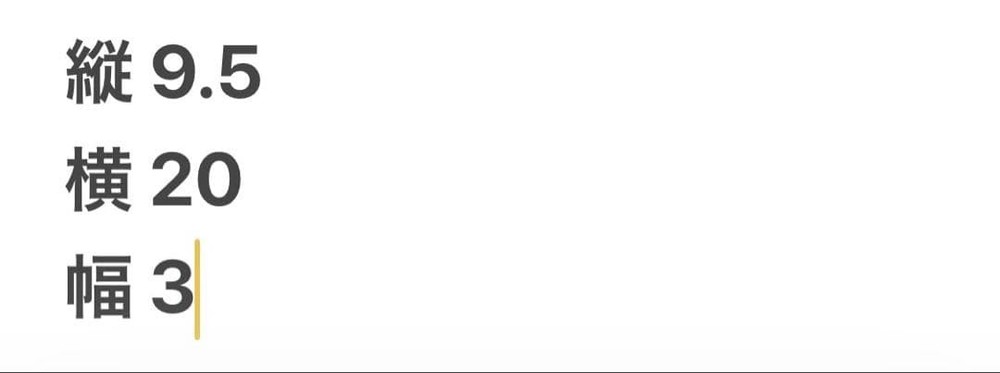 CELINE Large Flap Multi Function Long Wallet From Japan