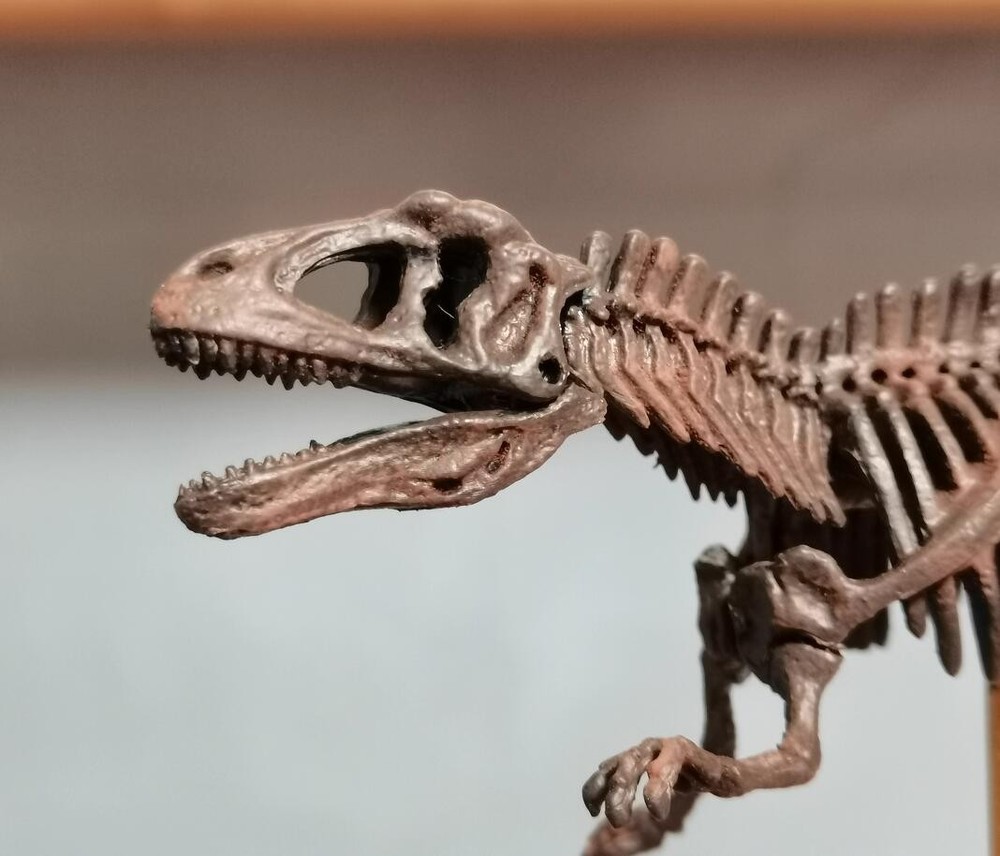 Acrocanthosaurus Skeleton Model Dinosaur Model Statue Display Animal Model
