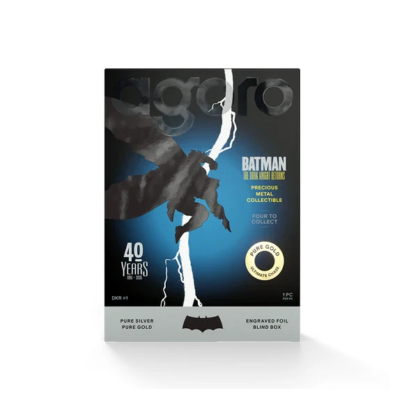 Batman: The Dark Knight Returns™ Blind Box (Single)